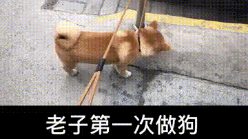 老子也是第一次做狗,凭什么让着你
